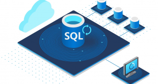 Aplikasi SQL Definisi Jenis